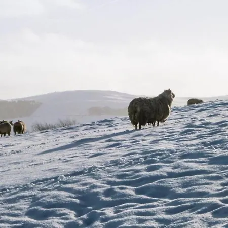 Prázdninový dům Sawley Above Rubies Canal, Cafes, Bars! *