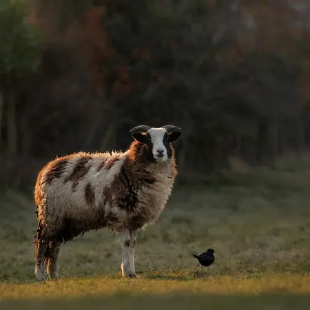 Ferienhaus Sawley Above Rubies Canal, Cafes, Bars!