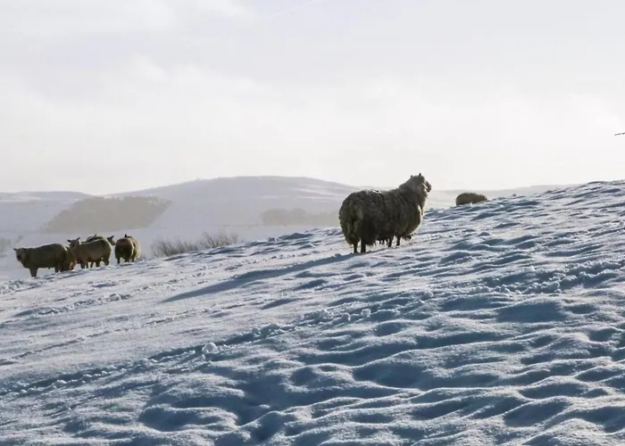 Vakantiehuis Modern House, Sleeps 5, Canal & Parking *