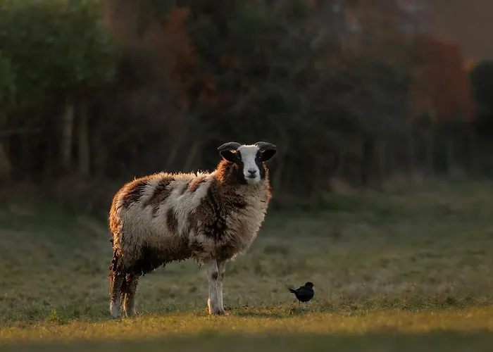 Vakantiehuis Modern House, Sleeps 5, Canal & Parking